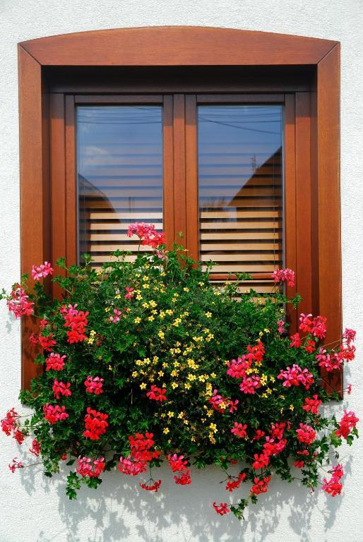 Country house Apartmanovy Dom Slniecko